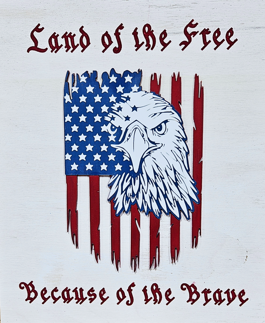 Brave American Eagle